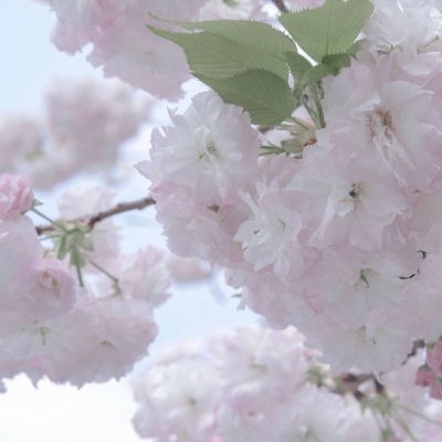 兽设节日场景设计福瑞交流群